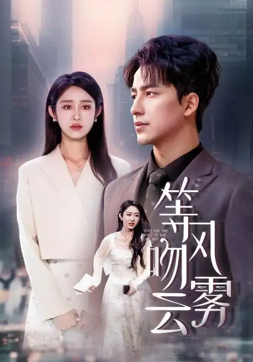 花蝴蝶10电视剧粉丝纪念版